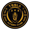 Tesla PA U20