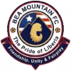 BEA Mountain FC