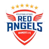 Incheon Hyundai Steel Red Angels (nữ)
