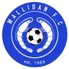 Wallidan FC