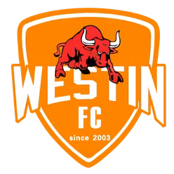 Foshan Sports (nữ)