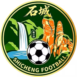Shicheng Team