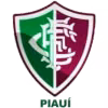 Fluminense PI Youth