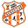 CS Sanandrei Timis