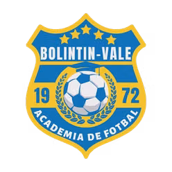 Bolintin Vale