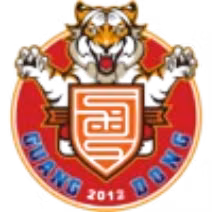 Guangdong Southern Tigers(2012-2020)