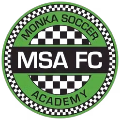 Bidhannagar MSA