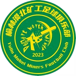 Yulin Mobei Miners