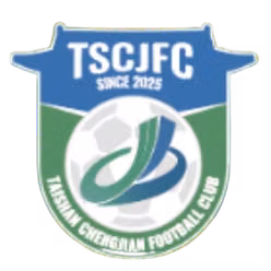 Taishan Team