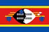 Eswatini U17