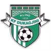 KF Dukagjini