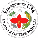 Ecuagenera