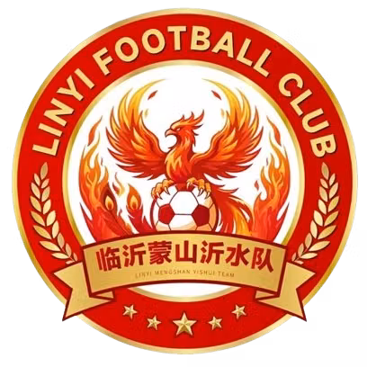 Linyi Team