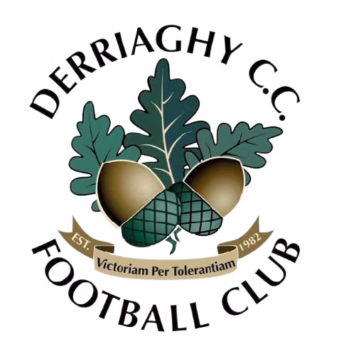 Derriaghy FC