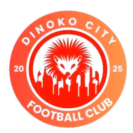 Dinoko City FC