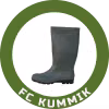 Kummik