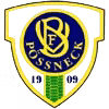 VfB Possneck