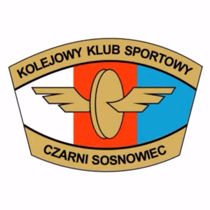 Czarni Sosnowiec (nữ)