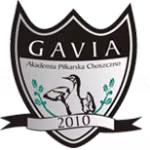 Gavia Choszczno