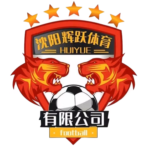 Shenyang Huiyue