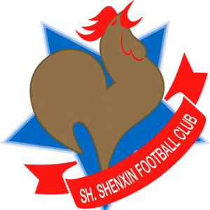 Shanghai Shenxin(2003-2020)