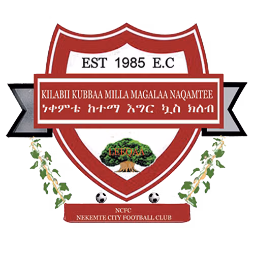 Nekemte Ketema