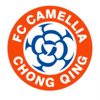 Chongqing Dikai