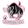 CD Novillos Neza
