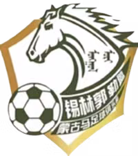 Xilin Gol Mongolian Horse U13