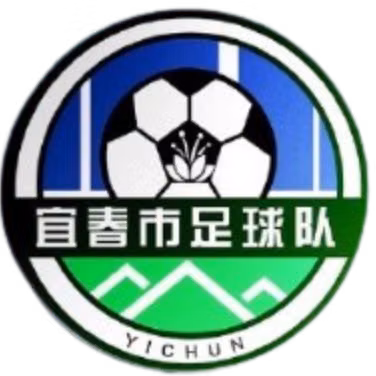 Yichun Team