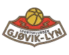 Gjovik Lyn