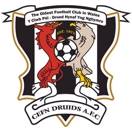 Newi Cefn Druids