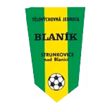 TJ Blanik Strunkovice
