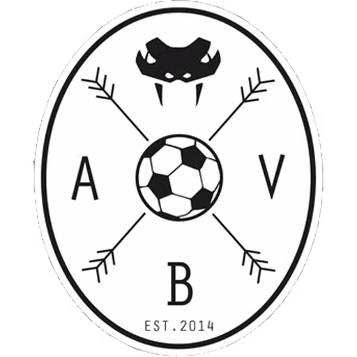 Aarhus Black Vipers