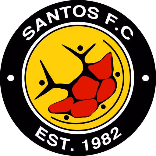 Santos Cape Town