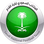 Saudi Arabia B