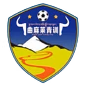Qinghai Keruisi U15