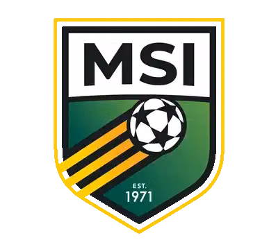 MSI (W)