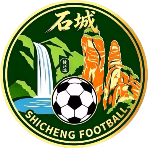 Shicheng Team