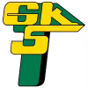 GKS Gornik Leczna (nữ)