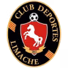 Deportes Limache