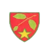 Mostistea Ulmu