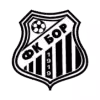 Bor 1919