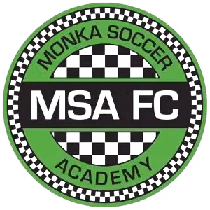 Bidhannagar MSA
