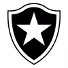 Botafogo RJ Youth