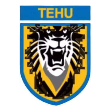 Nanjing Tehu Football Club