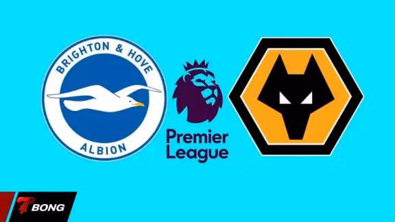 Brighton vs Wolves: Cơ hội vàng cho thầy trò Fabian Hurzeler