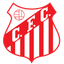 Capivariano FC SP Youth