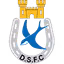 Dungannon Swifts Reserves