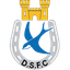 Dungannon Swifts Reserves